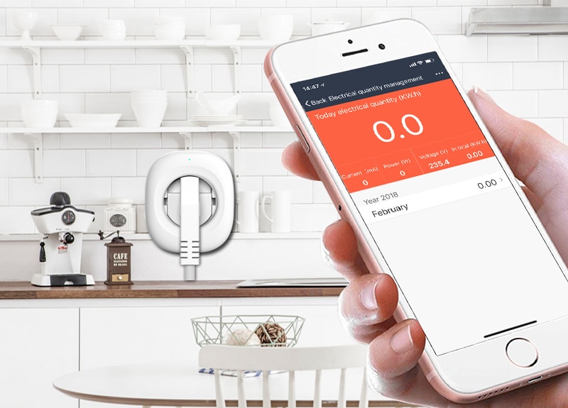 Enchufe WiFi inteligente con salida USB 5V, control por voz Alexa Google - Imagen 12