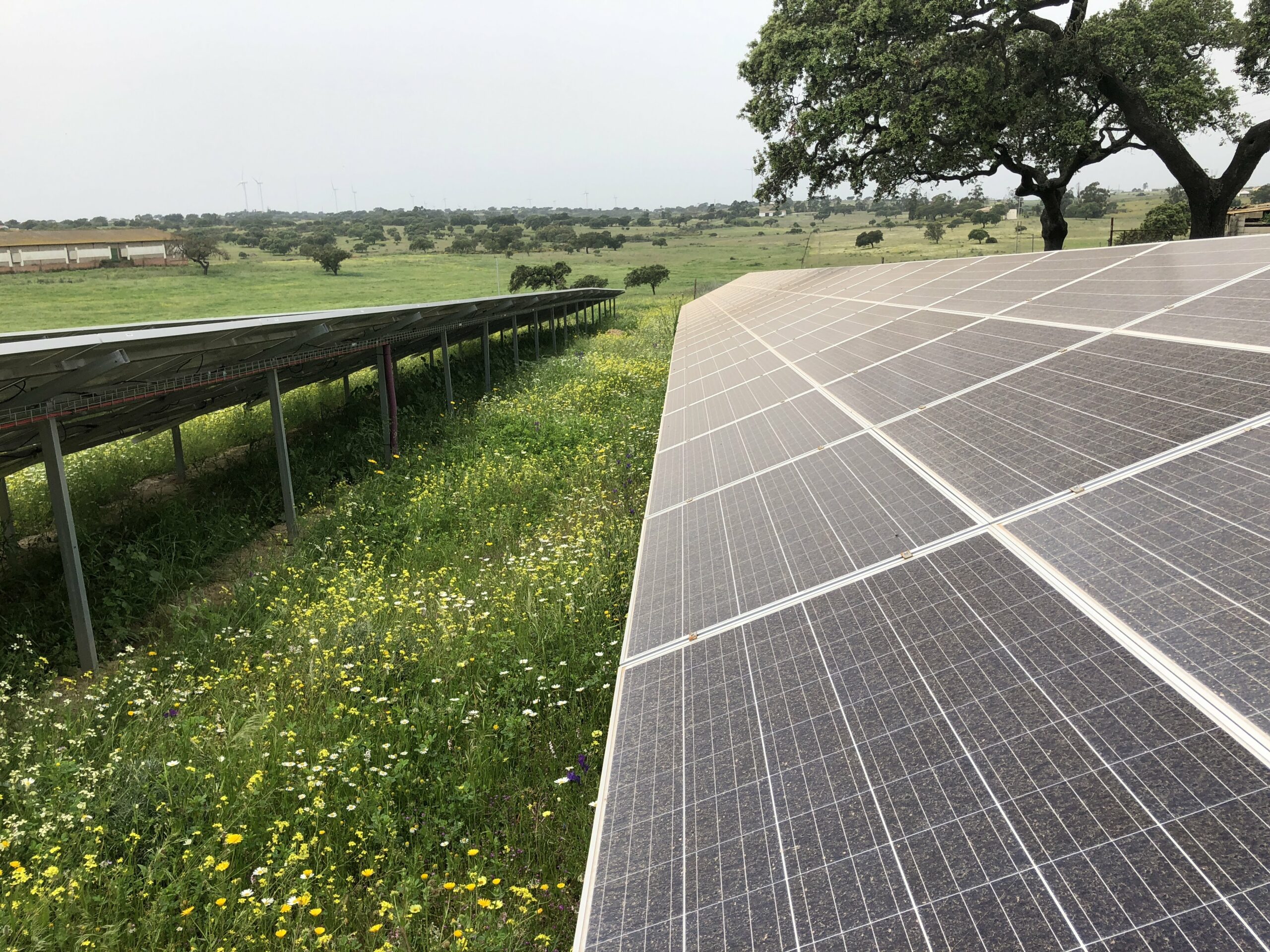 Panel solar Amerisolar 380W - Imagen 5